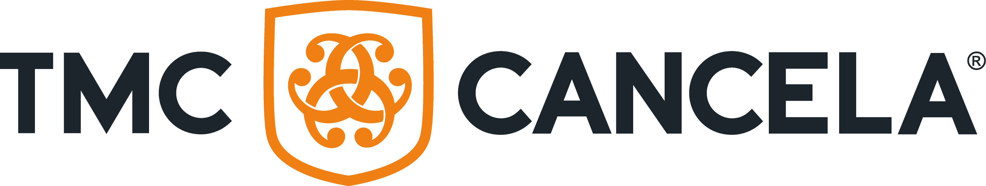 LOGO_HORIZONTAL_COLOR
